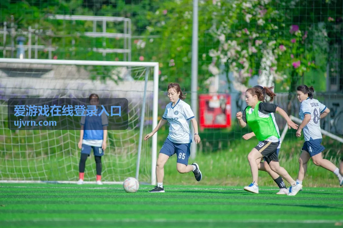 爱游戏在线登录入口 账号验证与设备切换说明封面