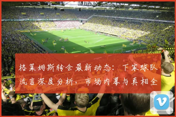 格莱姆斯转会最新动态：下家球队流言深度分析，市场内幕与真相全揭秘