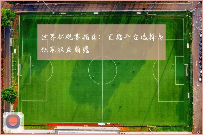世界杯观赛指南：直播平台选择与独家权益前瞻